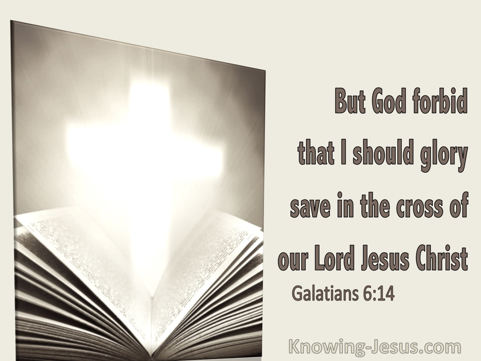 Galatians 6:14 But God Forbid That I Should Glory Save In The Cross Of Christ (utmost)11:25